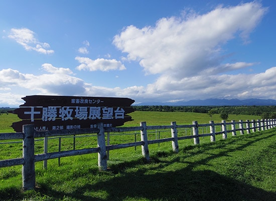 帯広 十勝旅行 ツアー His国内旅行