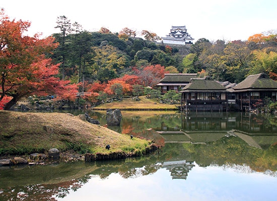 新幹線・鉄道で行く国内旅行・ツアー格安予約【HIS 国内旅行 首都圏発】