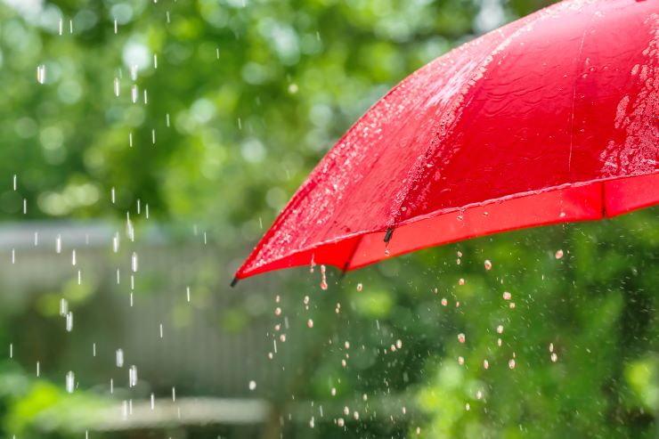 雨の日の様子