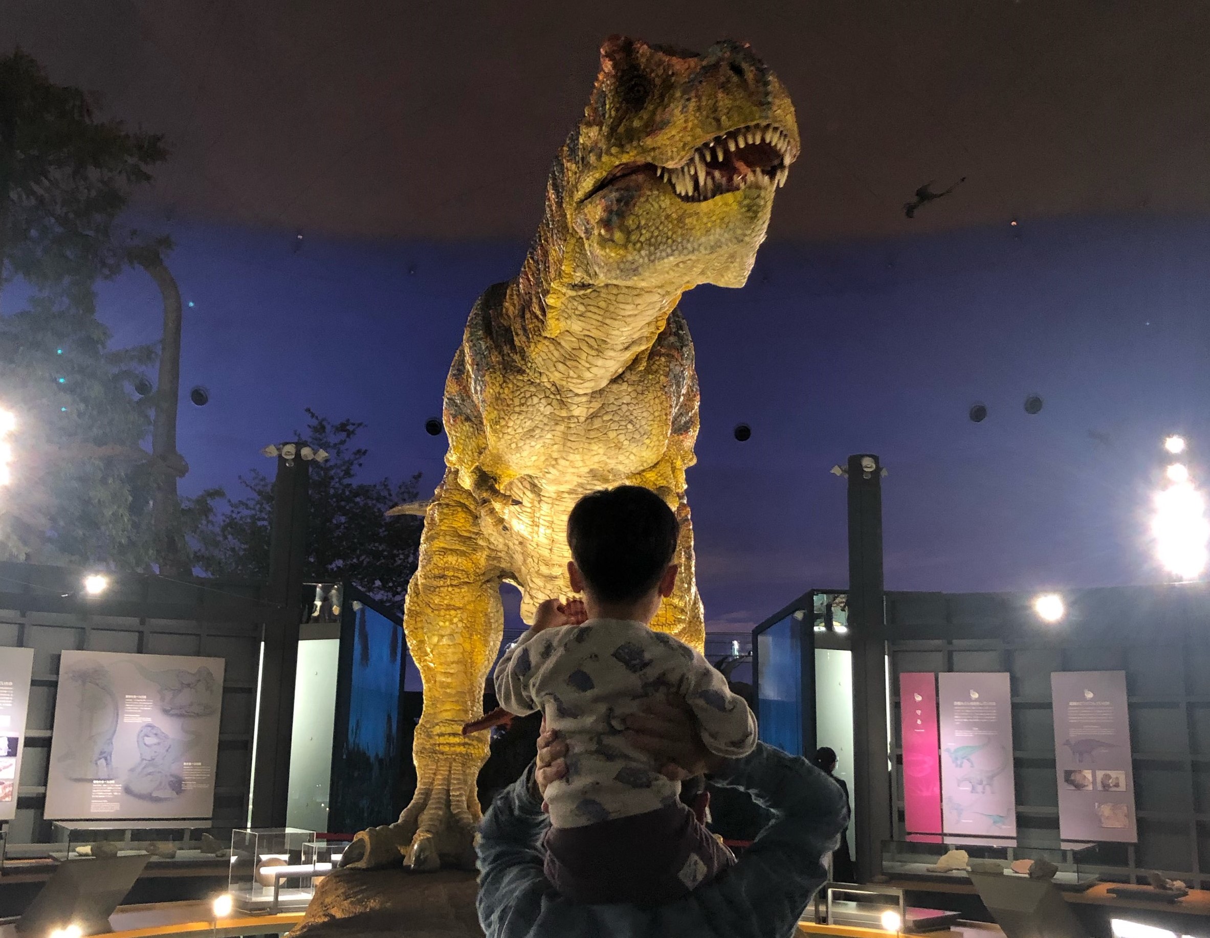 恐竜に会うなら福井へ 2泊3日で巡る子連れ観光モデルコース Catchy