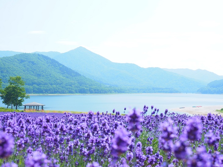 かなやま湖