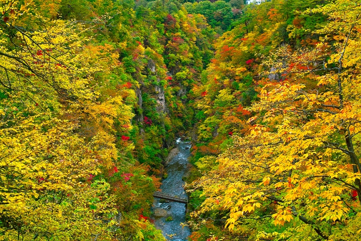 秋の鳴子峡（宮城県）