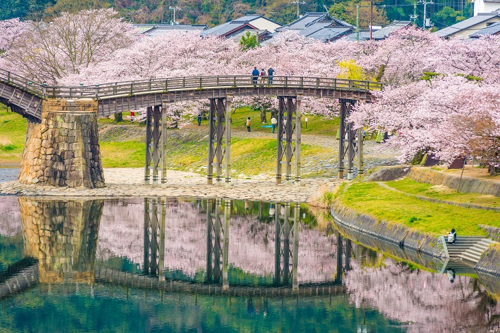 【中国地方】広島・岡山など桜の名所＆お花見スポットおすすめ13選