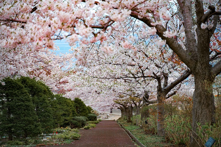 手宮公園