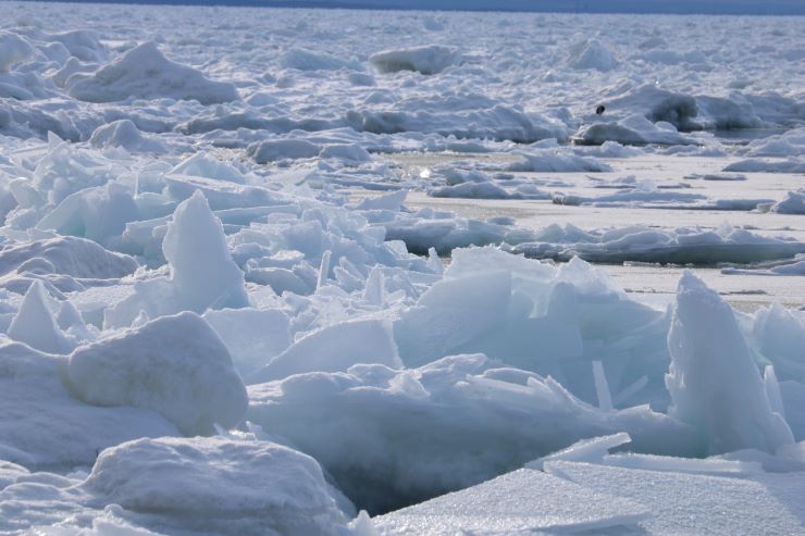 冬の北海道風物詩「流氷」のイロハをご紹介！
