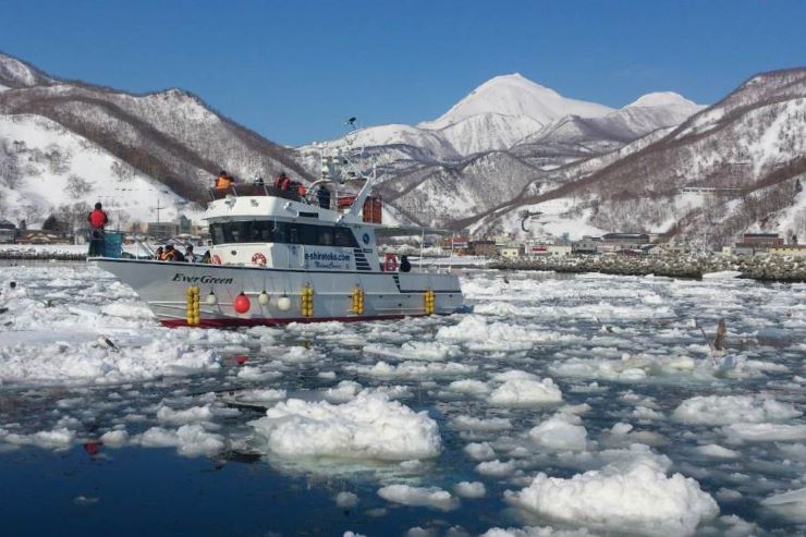 羅臼流氷クルーズ