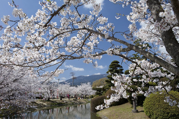 日本の歴史公園100選にも選ばれた小城公園