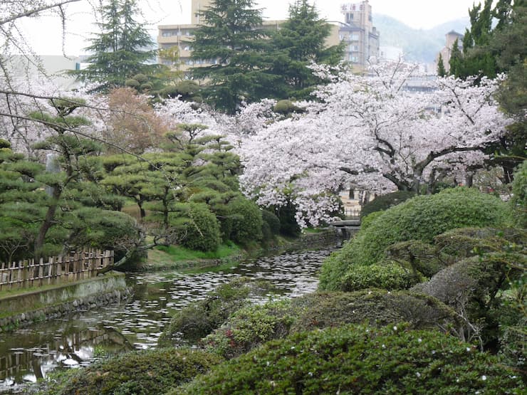 道後公園の桜　提供：愛媛県観光物産協会