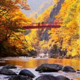 どこよりも早く紅葉を満喫しよう！北海道のおすすめ紅葉スポット7選