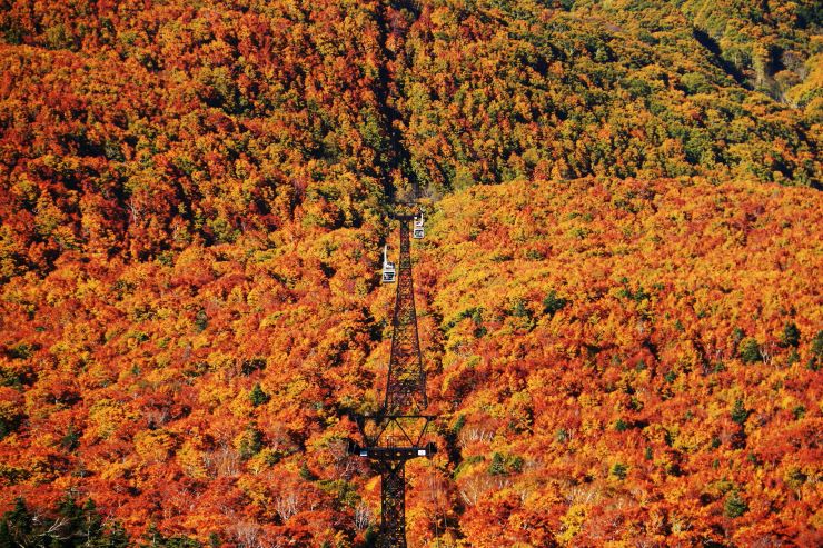 八甲田山_紅葉