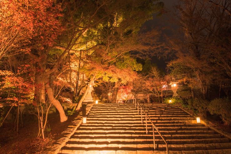 竈門神社_ライトアップ