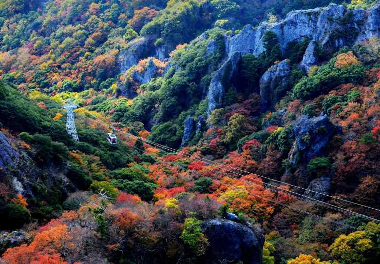 寒霞渓ロープウェイロープウェイからの紅葉