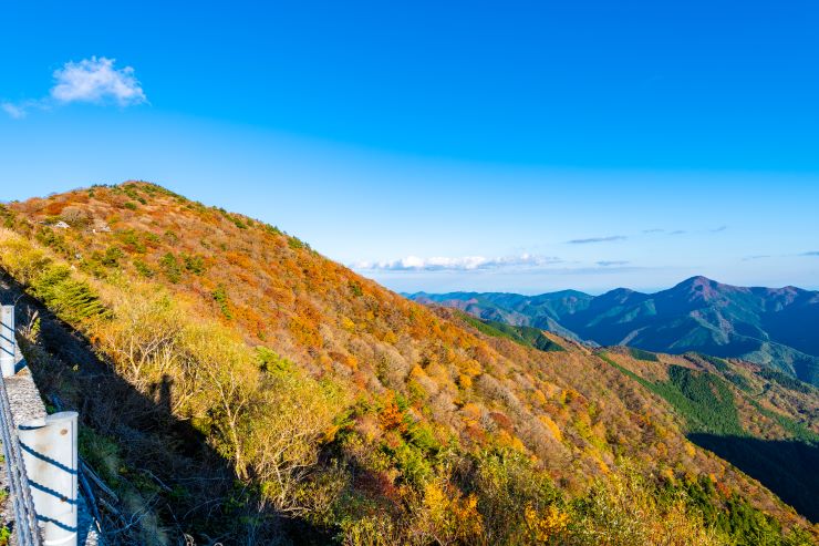 天狗ノ森の紅葉