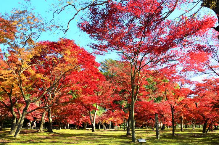 岡山後楽園