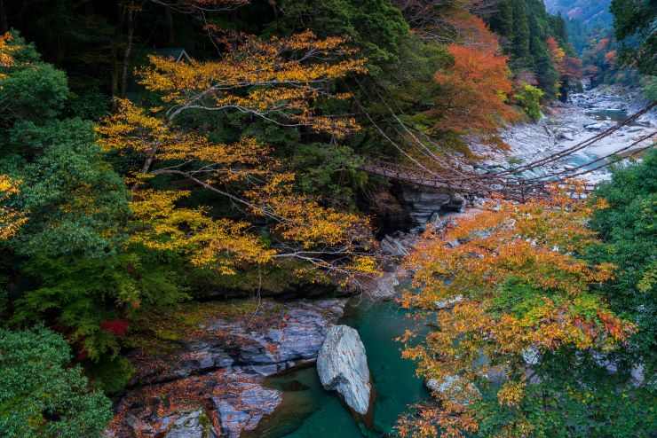 祖谷のかずら橋_紅葉