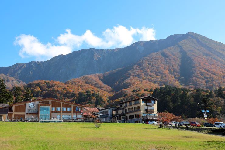 大山の紅葉