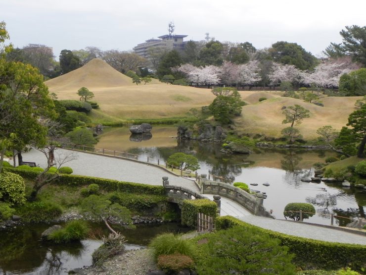 水前寺成趣園の桜