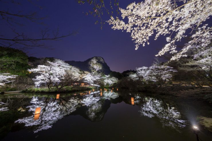 幻想的な御船山楽園の夜景