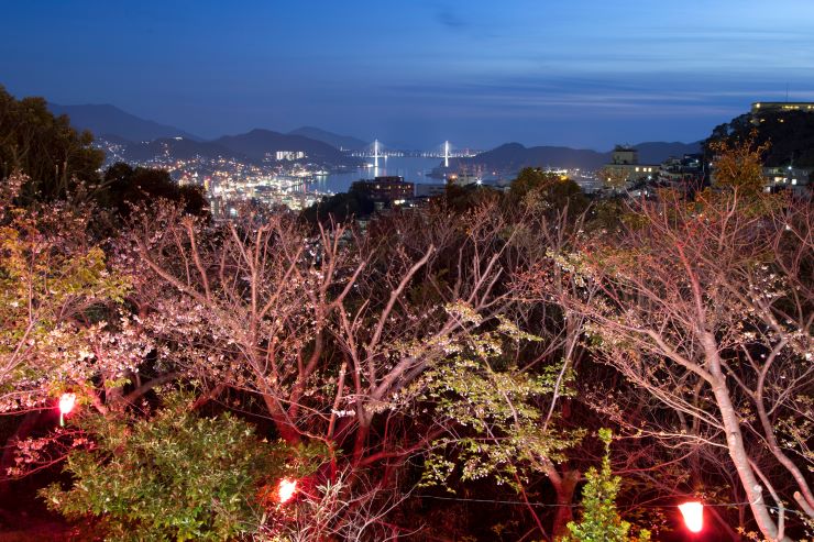 夜桜とともに長崎の夜景を一望