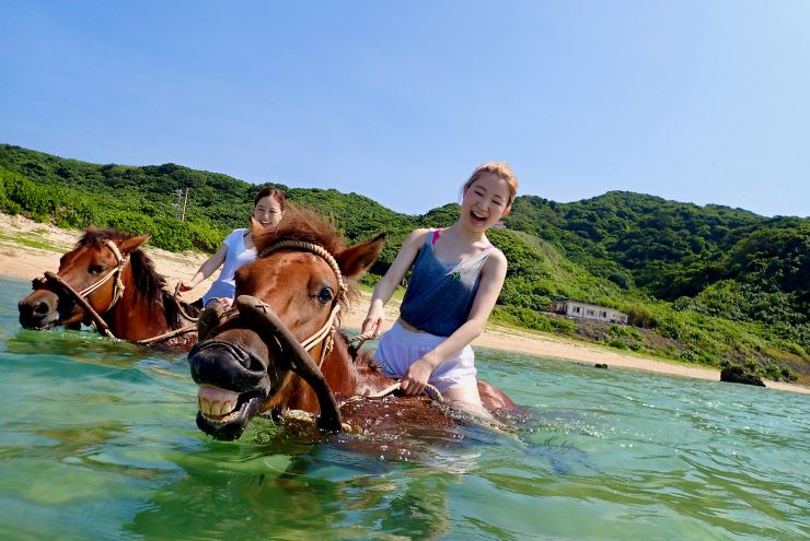 海中で与那国馬との触れ合い