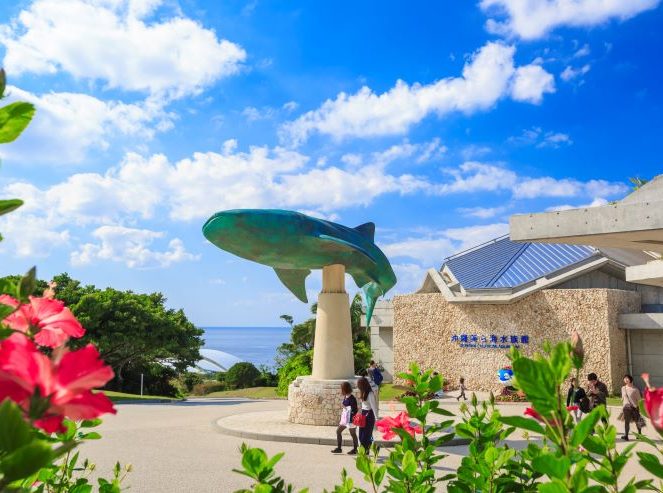 沖縄美ら海水族館ジンベエザメのモニュメント