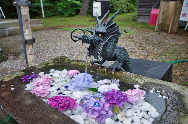 函館八幡宮_花手水