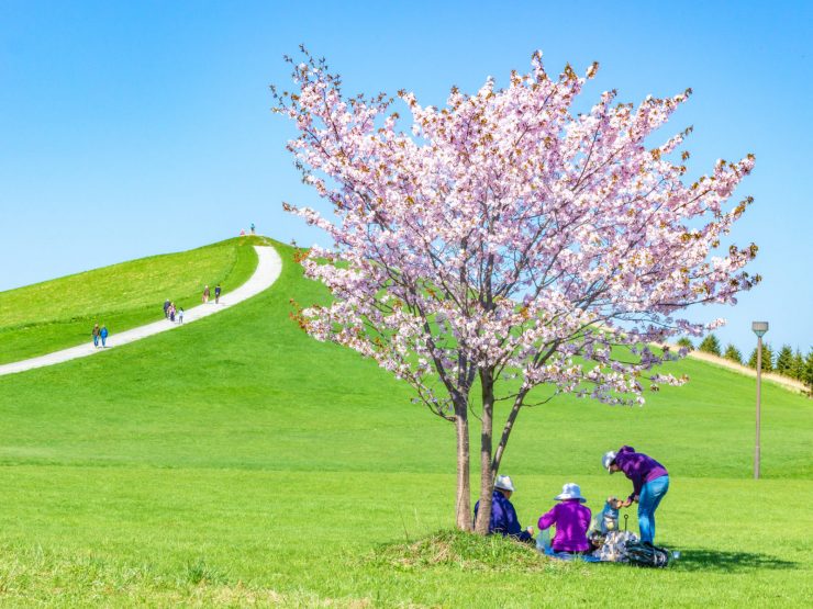 モエレ沼公園　提供：さっぽろ観光写真ライブラリー