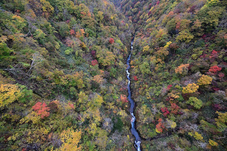  紅葉の名所・新登別大橋　提供：登別国際観光コンベンション協会