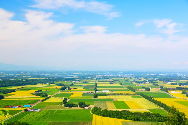 帯広の田園風景