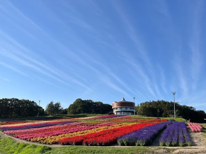 網走_はなてんと