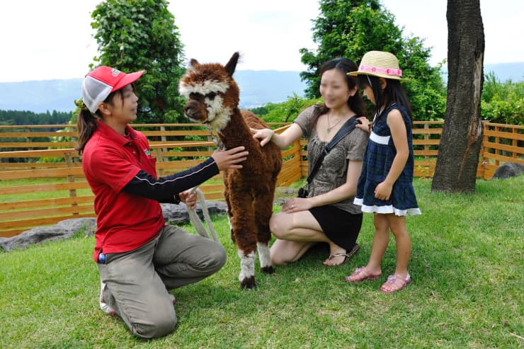 阿蘇カドリー・ドミニオン3　提供：熊本県観光連盟