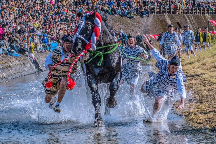 感動体験 八代妙見祭　提供：熊本県観光連盟