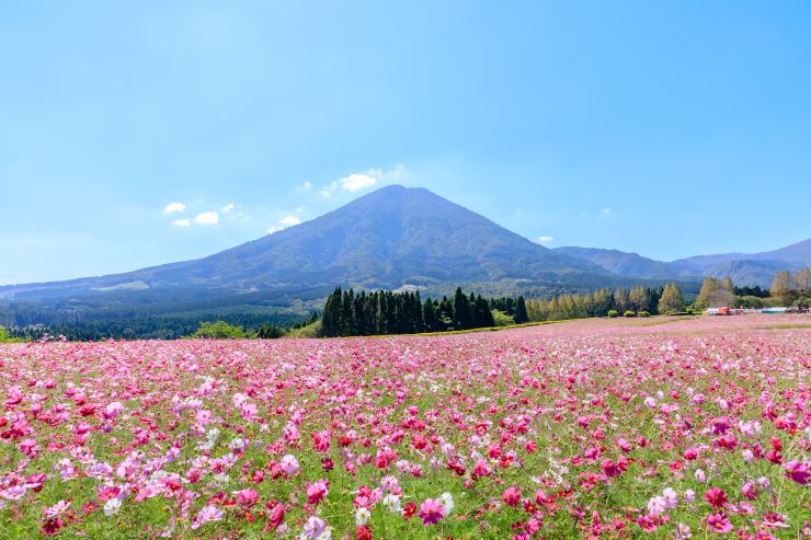 生駒高原