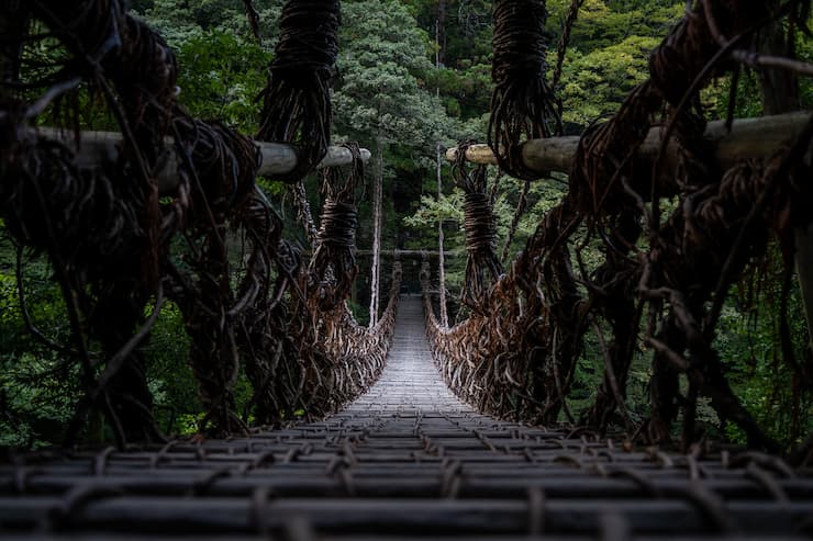 祖谷のかずら橋　提供：徳島県観光協会