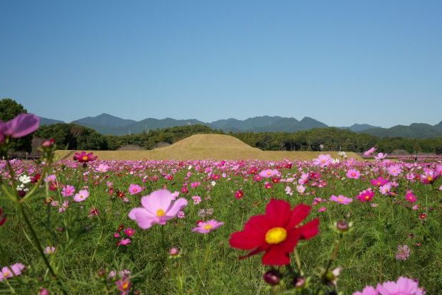 秋の西都原古墳群