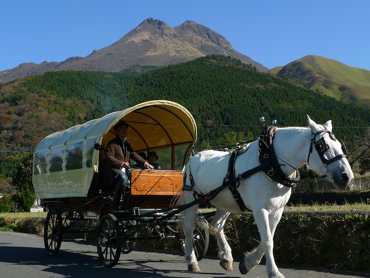 由布院の観光辻馬車