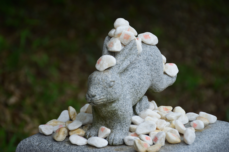 結び石に囲まれた白兎神社のウサギの石像