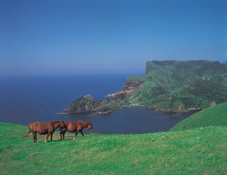 島根県_隠岐_摩天崖