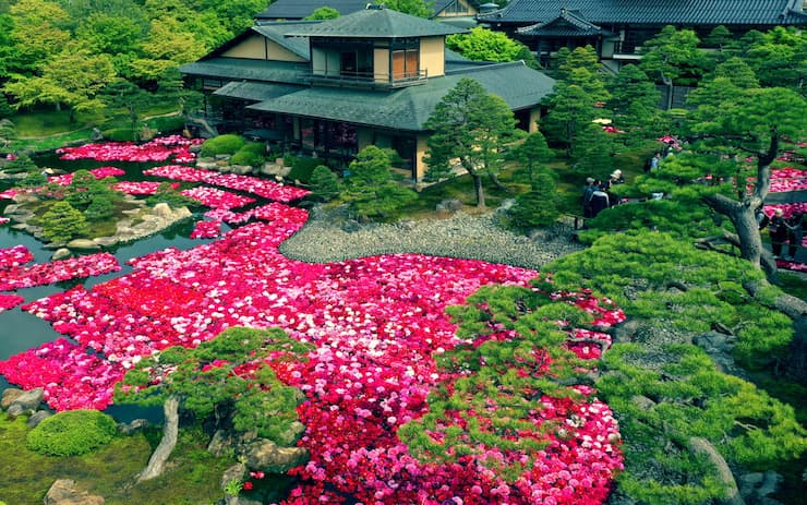 島根県_由志園