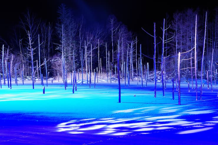 北海道_白金 青い池