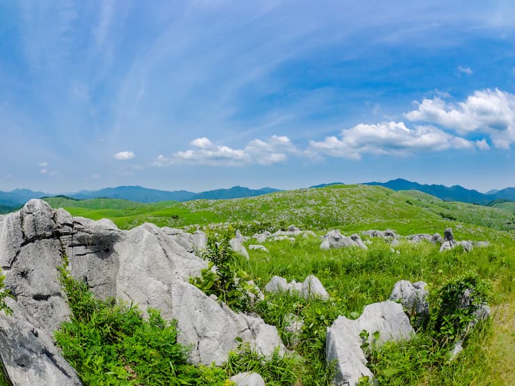 山口県_秋吉台