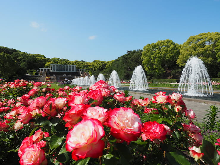 須磨離宮公園　提供：一般財団法人神戸観光局