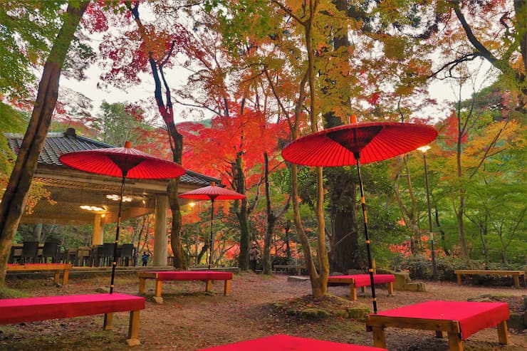 瑞宝寺公園の紅葉2　提供：一般財団法人神戸観光局