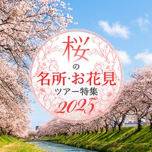 HIS桜特集