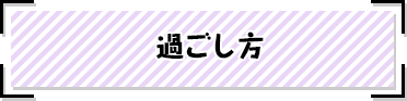 過ごし方