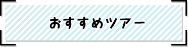 おすすめツアー