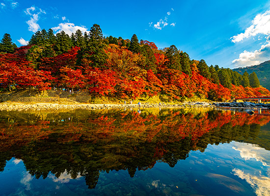 香嵐渓の紅葉