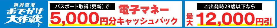 新潟空港おでかけ大作戦