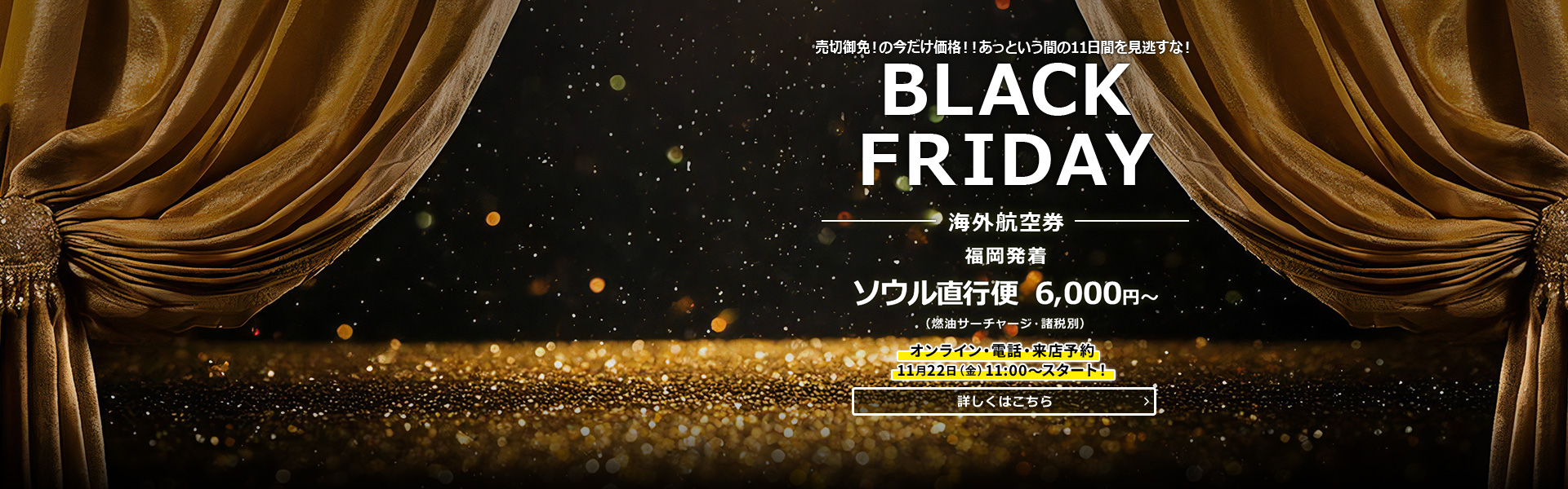 BLACK FRIDAY_海外航空券