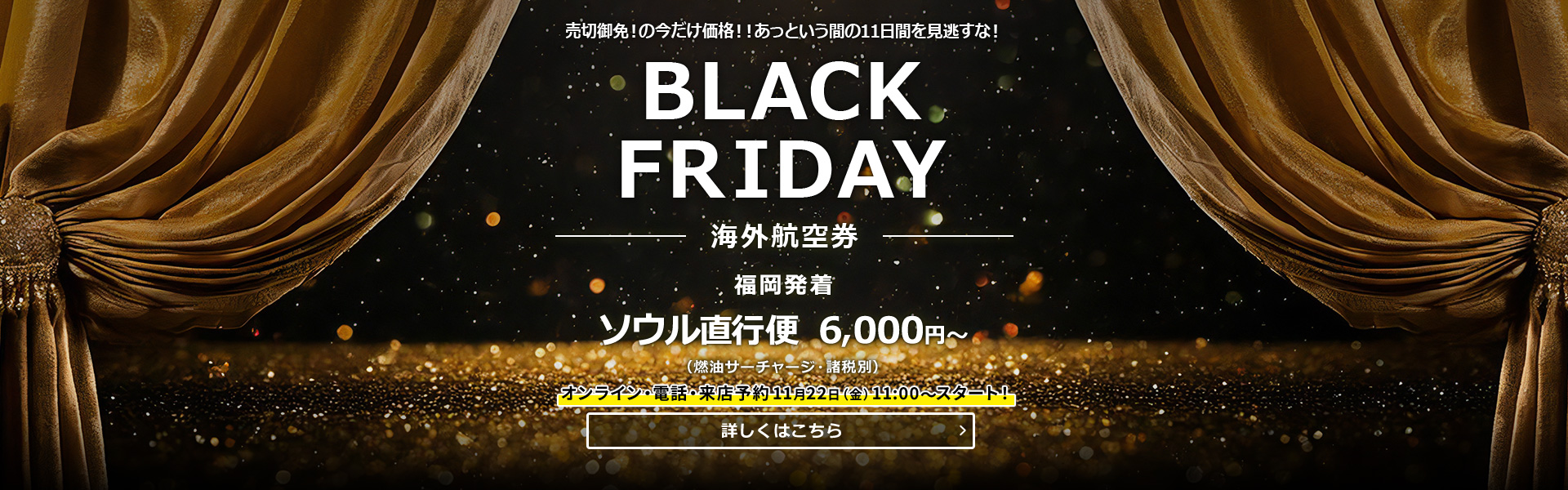 BLACK FRIDAY_海外航空券